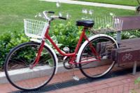 Imagine atasata: Hodmezovasarhely Biciclete 2.JPG